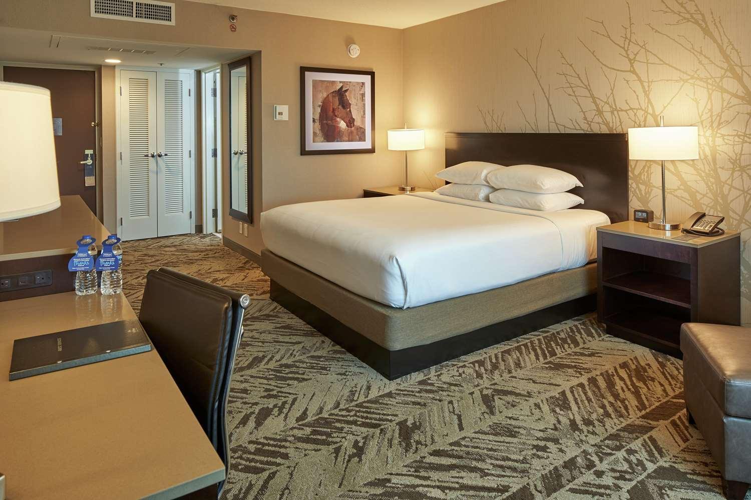 King Room,1547886223:JPEG