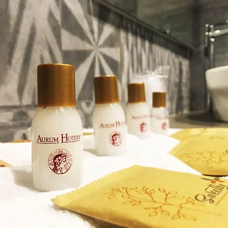 Hotel Aurum Firenze-2